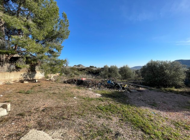 Revente - Finca / Maison Rurale - Aspe