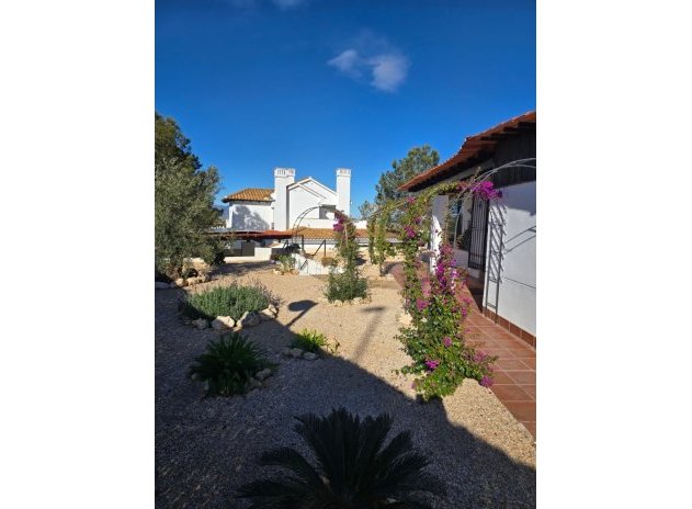 Herverkoop - Villa - Fuente Álamo - Fuente Alamo