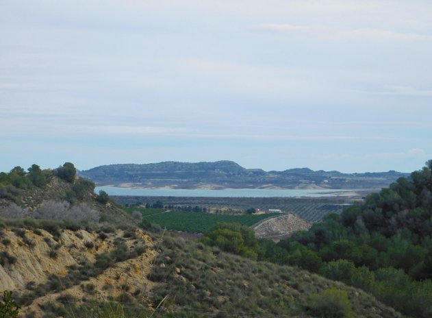 Herverkoop - Finca / Plattelands Woning - Torremendo