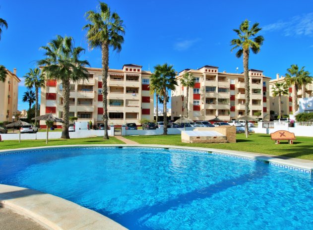Herverkoop - Appartement - Playa Flamenca
