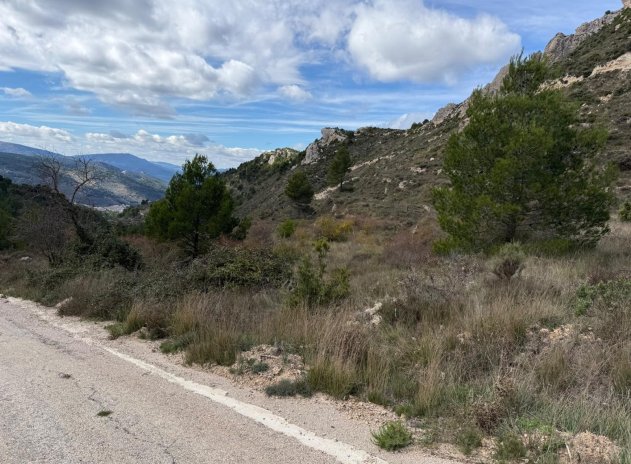 Revente - Parcelle - Confrides - Barranc de Xarquera