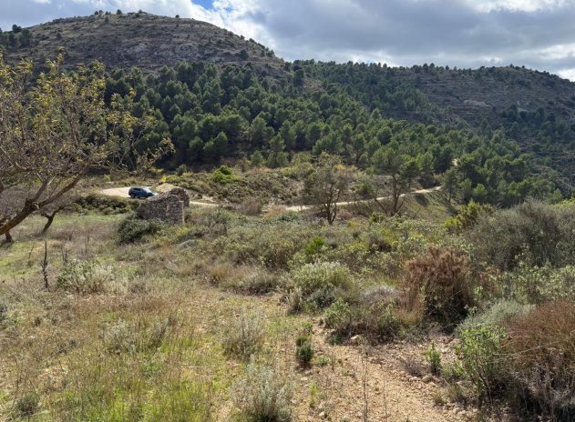 Revente - Parcelle - Confrides - Barranc de Xarquera