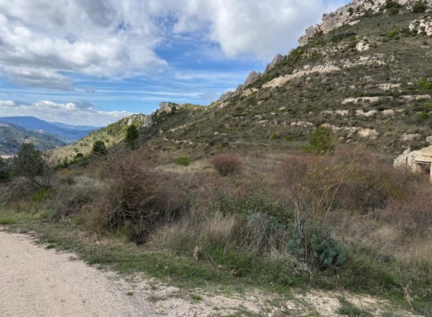 Revente - Parcelle - Confrides - Barranc de Xarquera