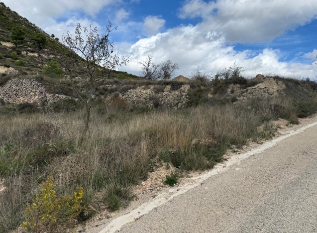 Revente - Parcelle - Confrides - Barranc de Xarquera