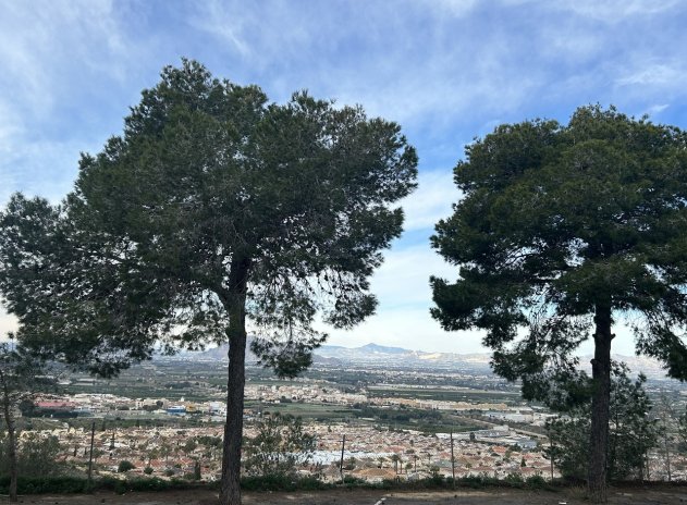 Resale - Apartment / Flat * - Ciudad Quesada *