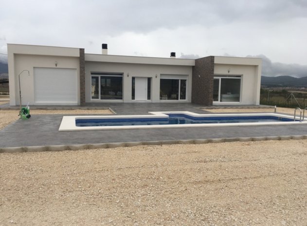 Nouvelle construction - Villa - Pinoso