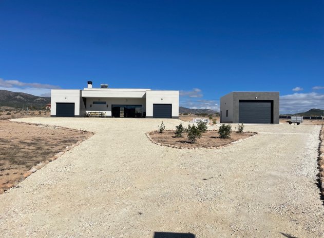 Nouvelle construction - Villa - Pinoso