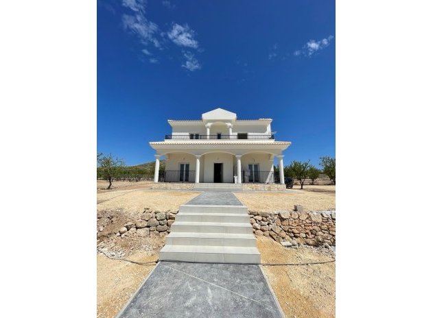 Obra nueva - Villa - Pinoso