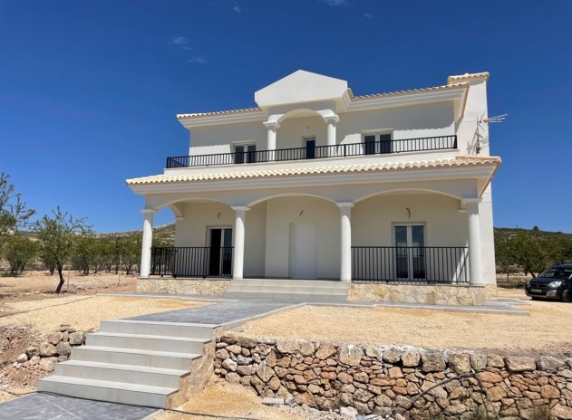Obra nueva - Villa - Pinoso