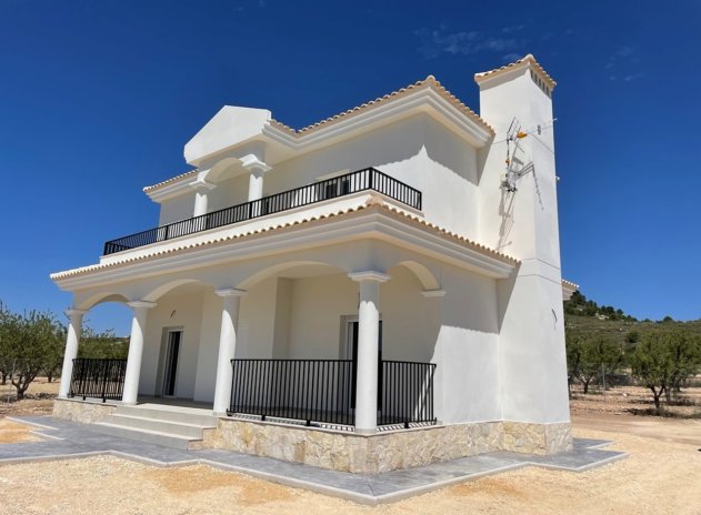 Obra nueva - Villa - Pinoso