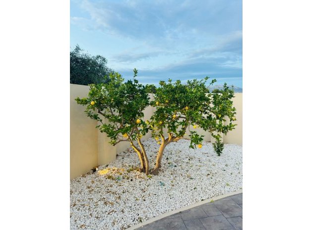 Herverkoop - Villa - Alfas del Pí - pueblo