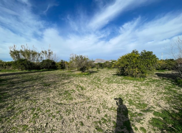 Herverkoop - Villa - Benejúzar