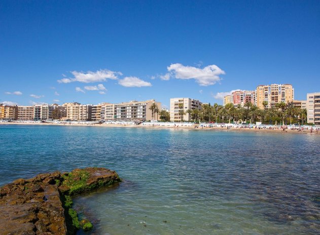 Wiederverkauf - Wohnung - Torrevieja