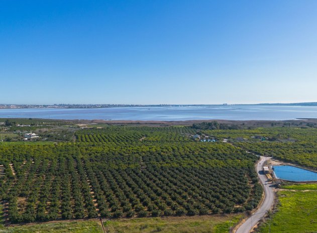Wiederverkauf - Wohnung - Los Montesinos