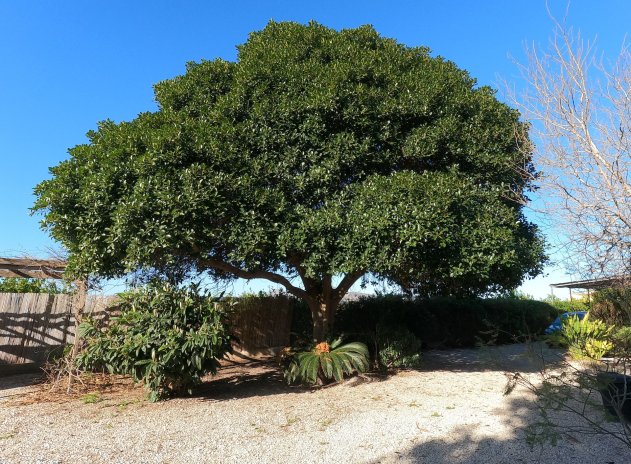 Resale - Finca / Country Property *  - Orihuela *