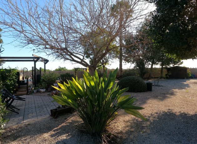 Resale - Finca / Country Property *  - Orihuela *