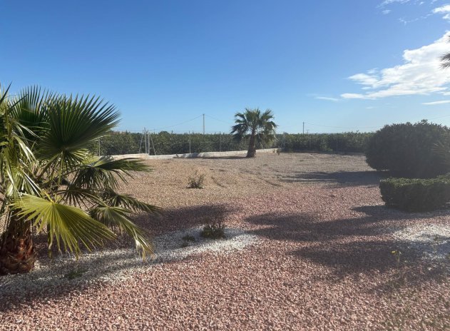 Herverkoop - Villa - Albatera