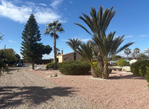 Herverkoop - Villa - Albatera