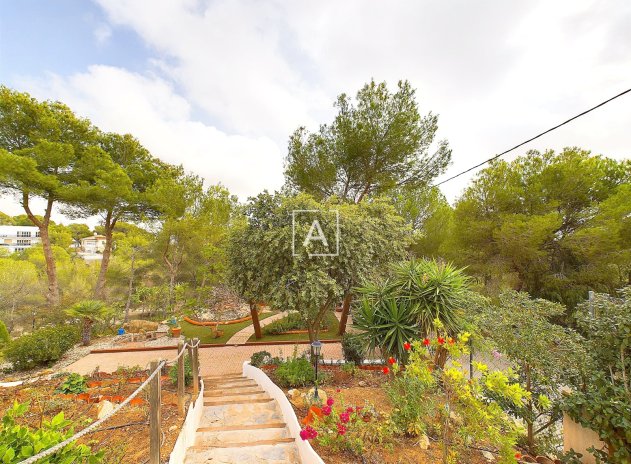 Wiederverkauf - Villa - Pinar de Campoverde