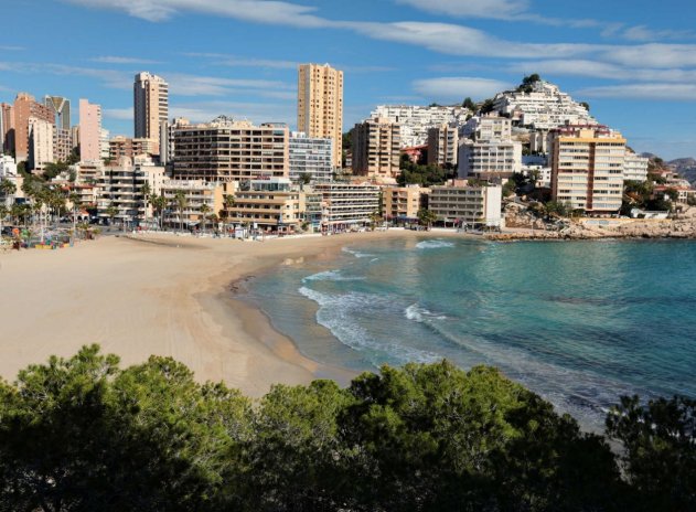 Nouvelle construction - Appartement - Finestrat