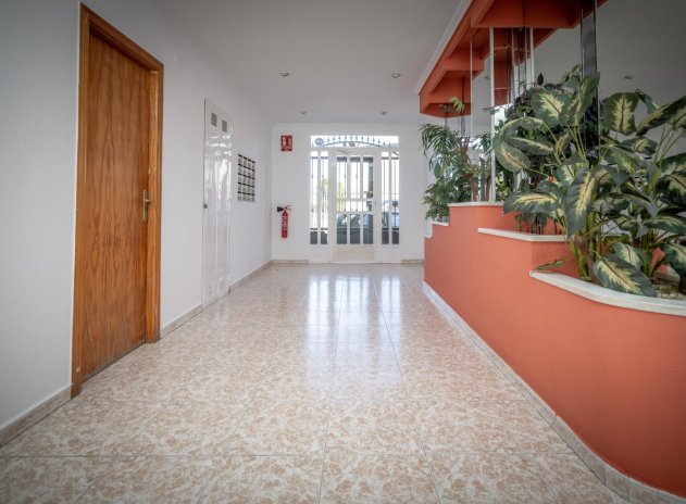 Herverkoop - Appartement - Torrevieja - Acequion