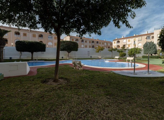 Herverkoop - Appartement - Torrevieja - Acequion