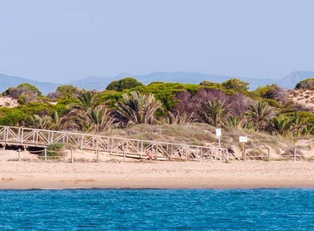 Nouvelle construction - Appartement - Guardamar del Segura