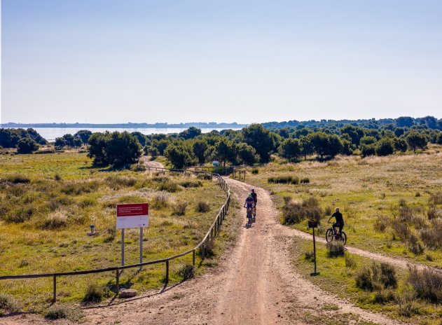 Wiederverkauf - Terrassenhaus - Torrevieja - Torretas