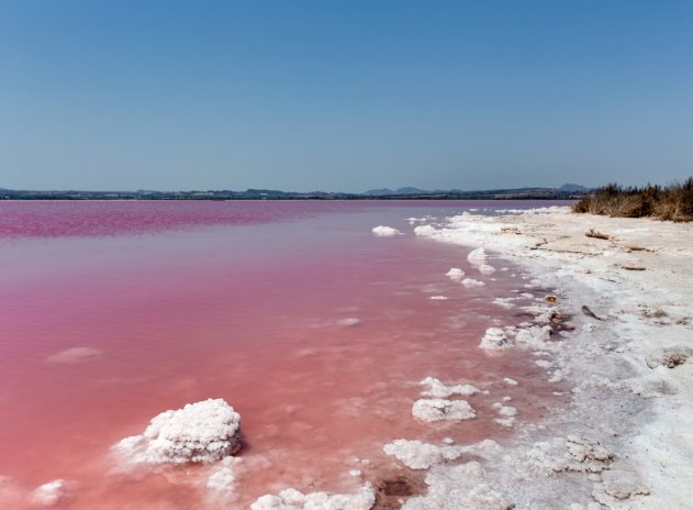Wiederverkauf - Terrassenhaus - Torrevieja - Torretas