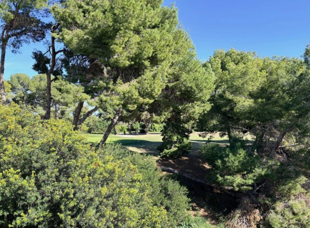 Wiederverkauf - Single Family Home - Orihuela Costa - Las Filipinas