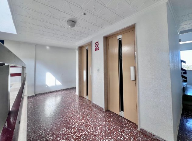 Herverkoop - Appartement - Torrevieja - Punta Prima