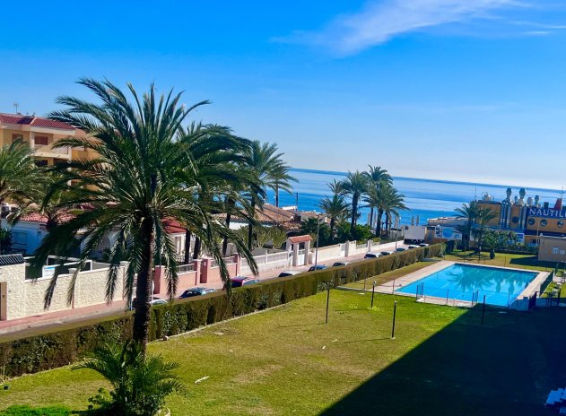 Herverkoop - Appartement - Torrevieja - Punta Prima