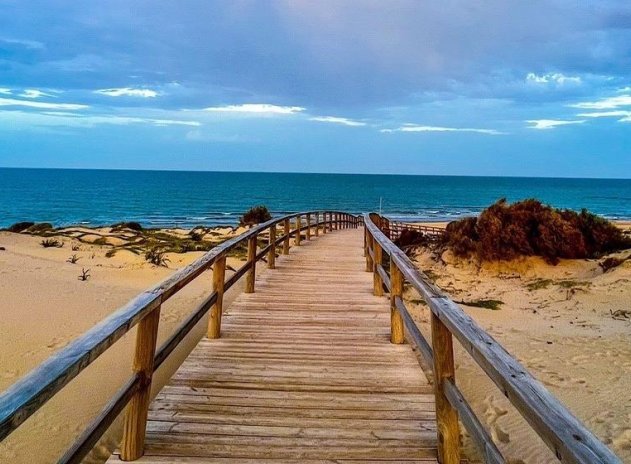 Wiederverkauf - Villa - Algorfa - La Finca Golf