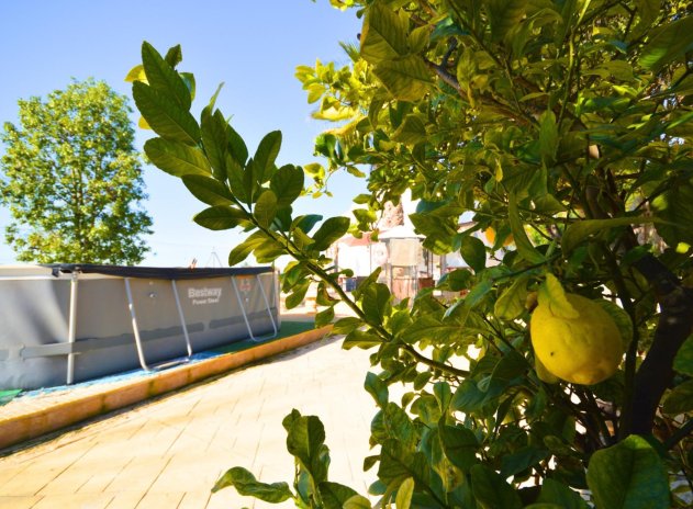 Wiederverkauf - Villa - Catral