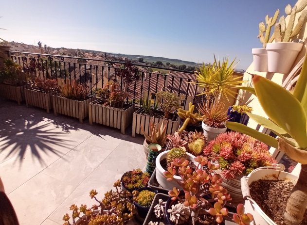 Reventa - Casa adosada - Algorfa - La Finca Golf