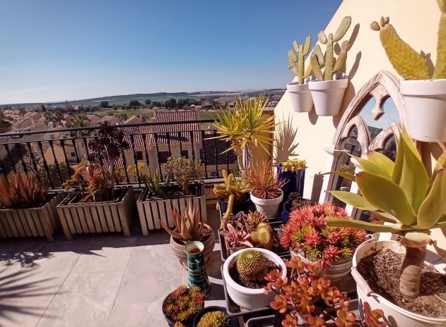 Reventa - Casa adosada - Algorfa - La Finca Golf