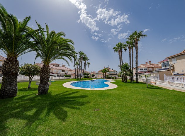 Herverkoop - Appartement - Playa Flamenca