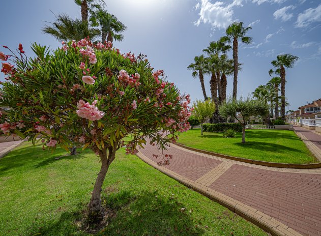 Herverkoop - Appartement - Playa Flamenca