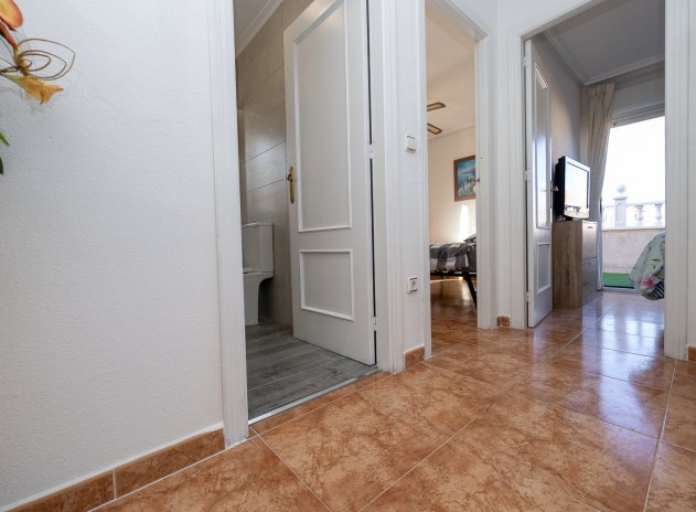 Reventa - Casa adosada - Cabo Roig - La Regia