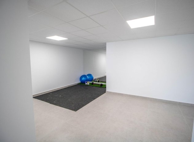 Nouvelle construction - Villa - Finestrat