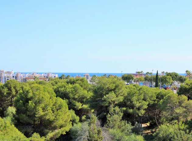 Revente - Villa - Playa Flamenca