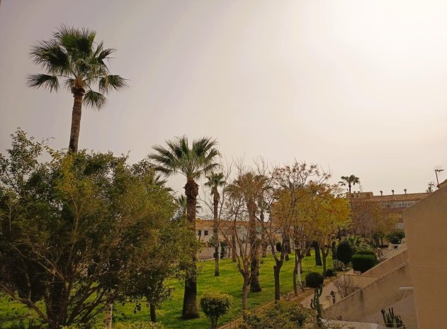 Wiederverkauf - Wohnung - Orihuela Costa - La Regia