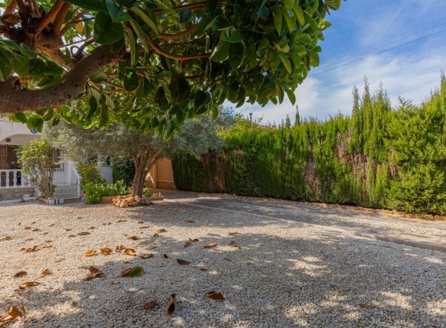 Resale - Villa * - Torrevieja * - El chaparral *