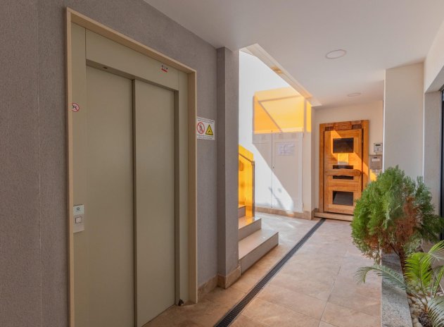 Wiederverkauf - Wohnung - Torrevieja