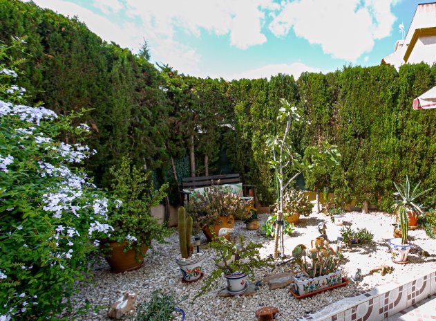 Herverkoop - Appartement - Playa Flamenca