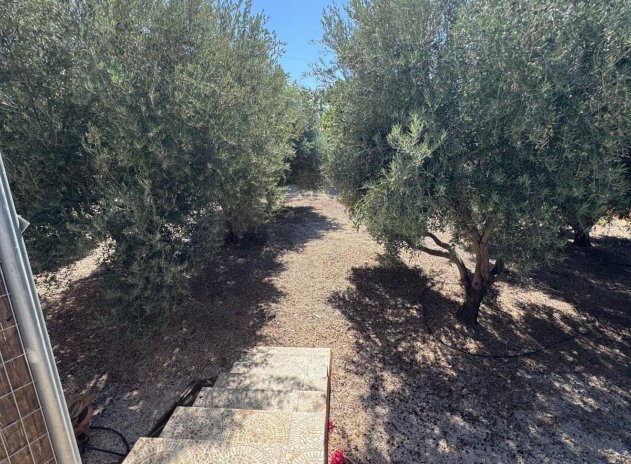 Revente - Finca / Maison Rurale - Albatera - ALBATERA