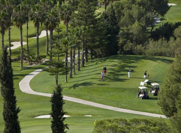 Resale - Villa * - San Miguel de Salinas * - Blue lagoon *