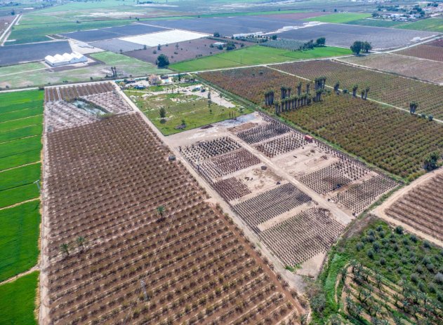 Herverkoop - Finca / Plattelands Woning - Crevillente