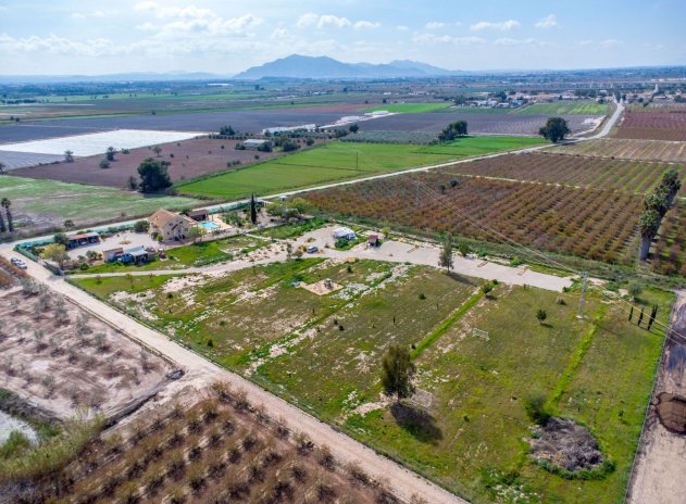 Herverkoop - Finca / Plattelands Woning - Crevillente