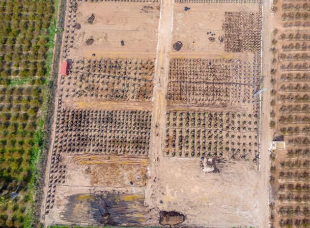 Herverkoop - Finca / Plattelands Woning - Crevillente